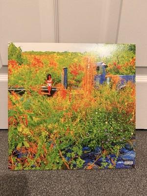 Gripsweat - Jhene Aiko Trip Vinyl LP Album Record